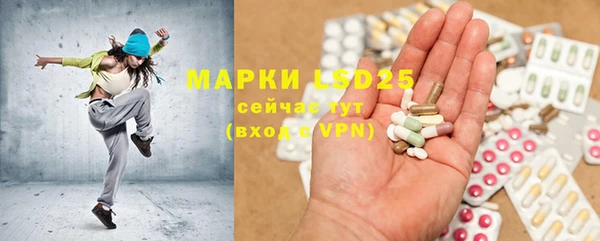 ALPHA-PVP Новозыбков