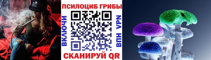 Псилоцибиновые грибы Psilocybe  Кыштым 