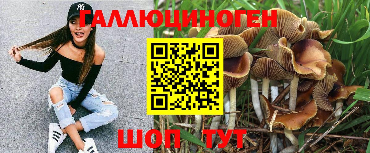 Псилоцибиновые грибы Psilocybe  Вход с VPN  Кыштым 