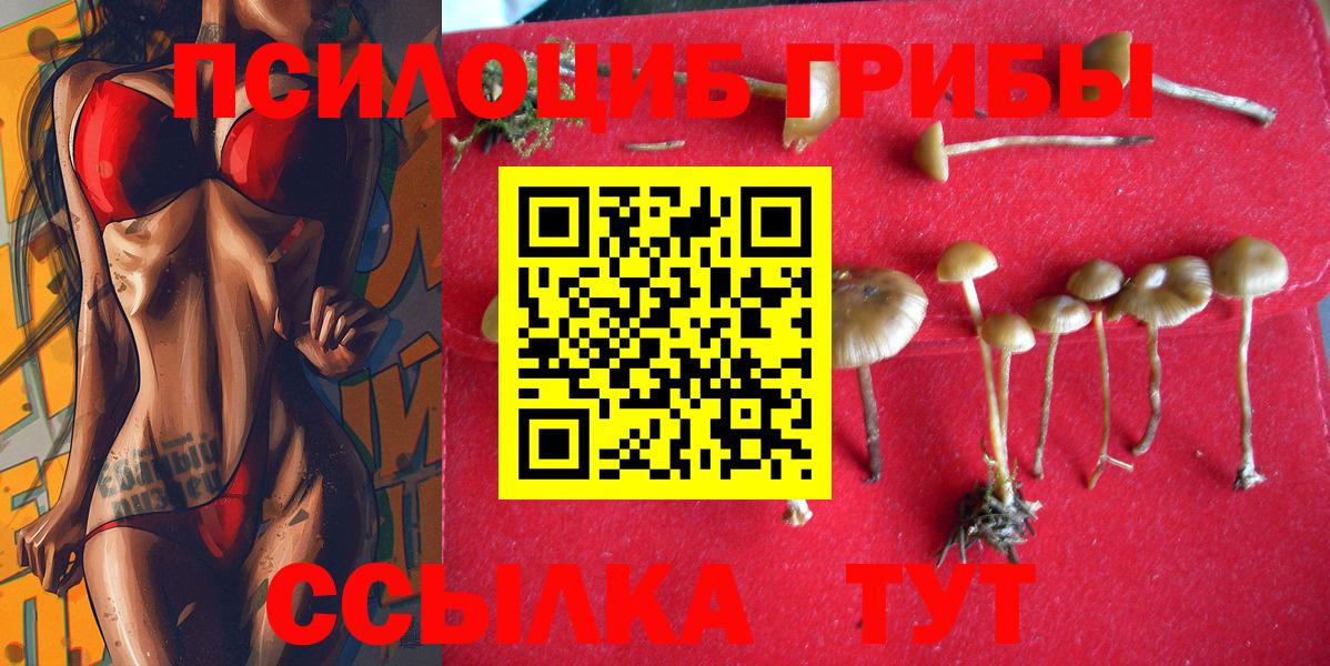 Галлюциногенные грибы GOLDEN TEACHER Кыштым