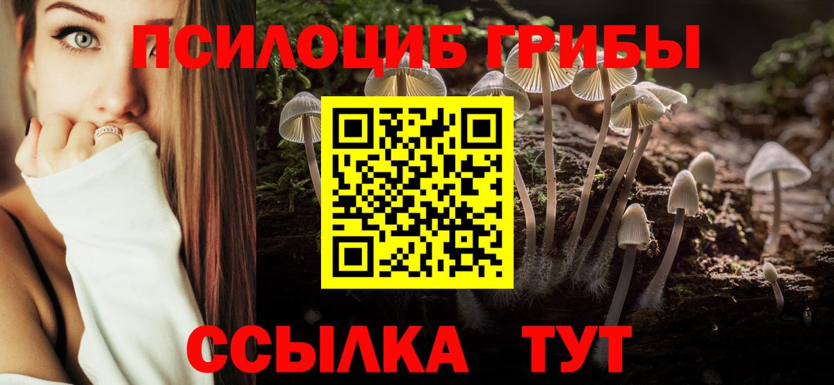 Псилоцибиновые грибы ЛСД Кыштым