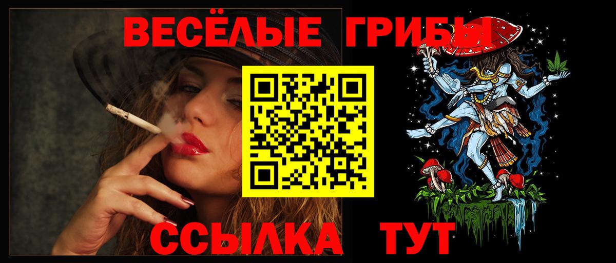 Галлюциногенные грибы прущие грибы  Псилоцибиновые грибы Psilocybine cubensis  Кыштым 